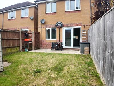 Picture 11